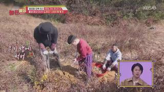 미리보기 이미지