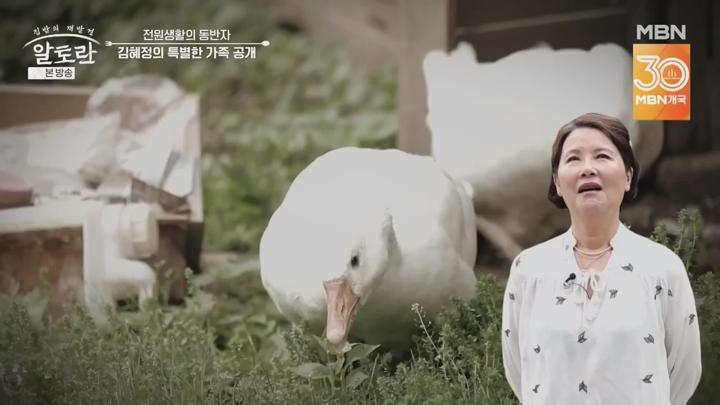 알토란.E547.250629.720p.KANNA 비디오 썸네일 이미지