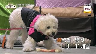 미리보기 이미지