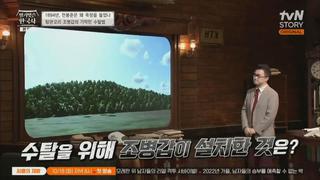 미리보기 이미지