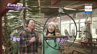 미리보기 이미지