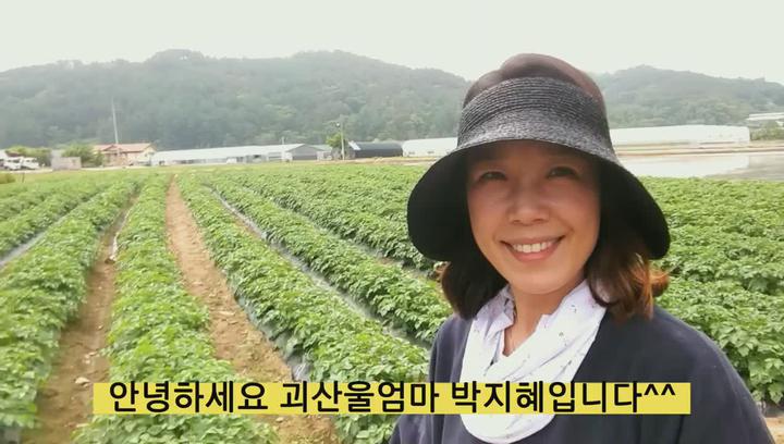 [감자재배] 감자꽃 피는시기 _ 감자크게 키우는 방법 비디오 썸네일 이미지