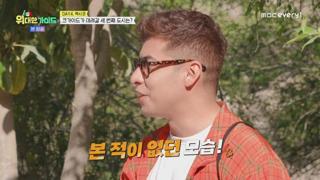 미리보기 이미지