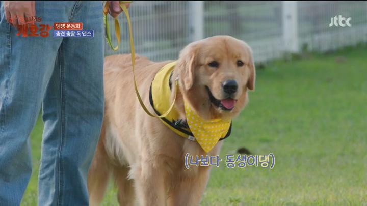 집 나가면 개호강.E07.250706.720p.H264-F1RST 비디오 썸네일 이미지