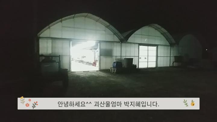 [배추파종] 김장용 가을배추 파종시기 및 파종방법- 맛있는 배추 품종 비디오 썸네일 이미지