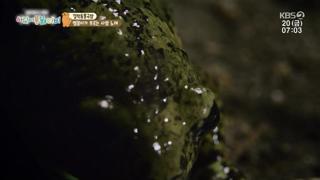미리보기 이미지