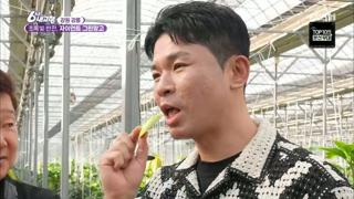 미리보기 이미지