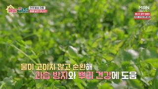 미리보기 이미지
