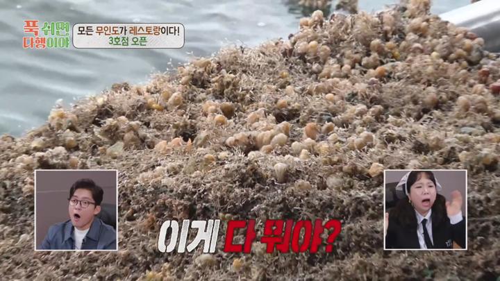 푹 쉬면 다행이야 E35 20250210 1080P-KING 비디오 썸네일 이미지