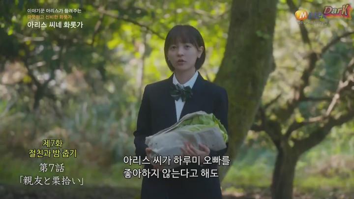 [자체한글] 아리스 씨네 화롯가 2025 07화 1080 비디오 썸네일 이미지