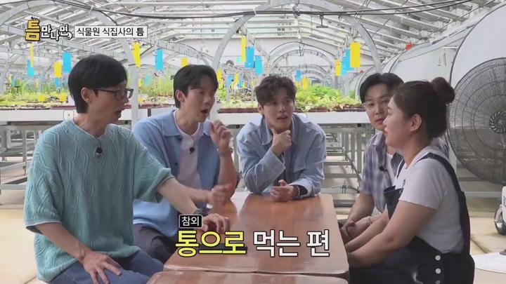 틈만나면 시즌3.E10.x264.540p.VIU.WEB-DL-LoveBug 비디오 썸네일 이미지