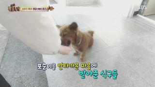 미리보기 이미지
