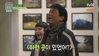 미리보기 이미지