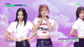 미리보기 이미지