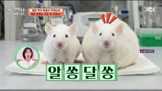 미리보기 이미지
