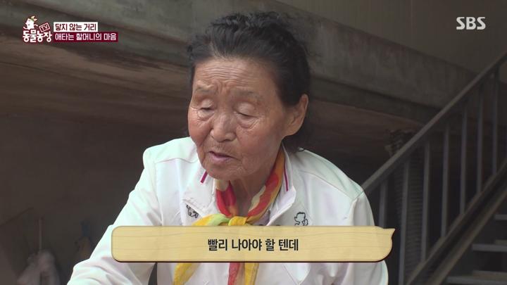 TV 동물농장.E1225.250615.720p-NEXT 비디오 썸네일 이미지