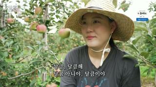 미리보기 이미지