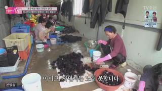 미리보기 이미지