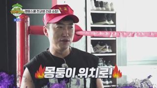 미리보기 이미지