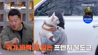 미리보기 이미지