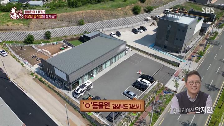 TV 동물농장.E1226.250622.720p-NEXT 비디오 썸네일 이미지