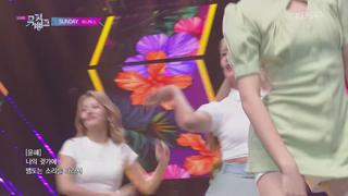 미리보기 이미지