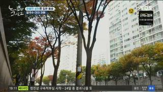 미리보기 이미지