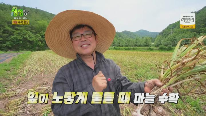2TV 생생정보.E2319.250623.1080p.H264-F1RST 비디오 썸네일 이미지