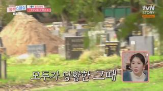 미리보기 이미지