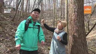 미리보기 이미지