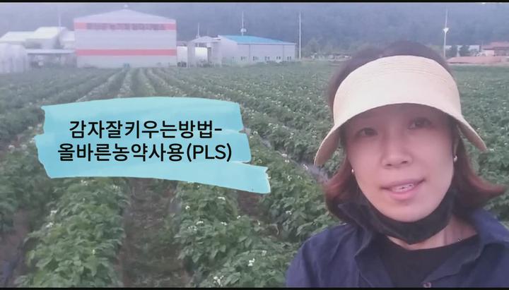 [감자재배] 감자잘키우는방법-PLS에 따른 올바른농약사용 비디오 썸네일 이미지