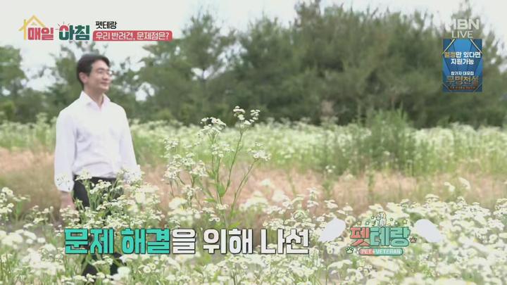 매일아침.E56.250717.1080p.H265-F1RST 비디오 썸네일 이미지