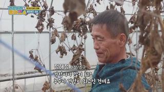 미리보기 이미지