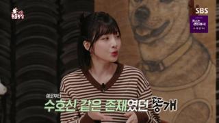 미리보기 이미지