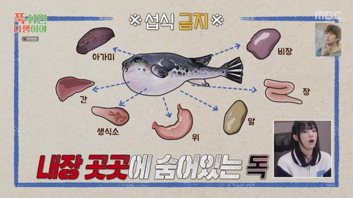 푹 쉬면 다행이야.E33.250120.720p.KANNA 비디오 썸네일 이미지
