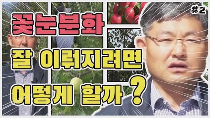 사과 여름전정 - 꽃눈분화 비디오 썸네일 이미지