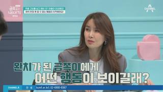 미리보기 이미지