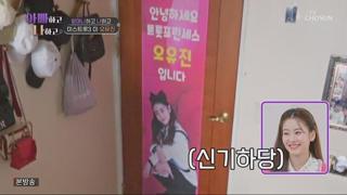 미리보기 이미지