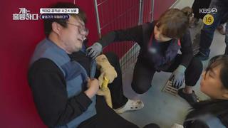 미리보기 이미지