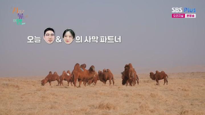 지지고 볶는 여행.E19.250718.720p.H264-F1RST 비디오 썸네일 이미지