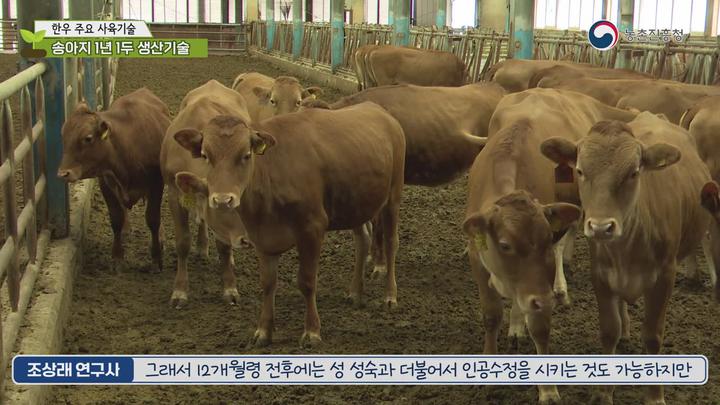 농업기술_한우 주요 사육기술 비디오 썸네일 이미지