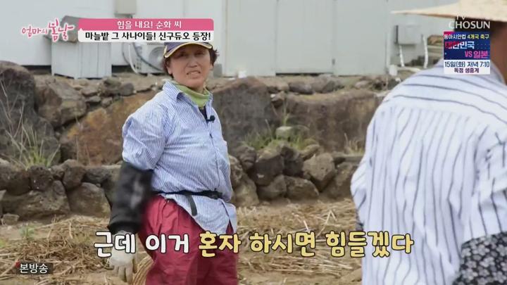 엄마의 봄날.E513.250713.720p-NEXT 비디오 썸네일 이미지