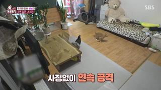 미리보기 이미지