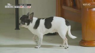 미리보기 이미지