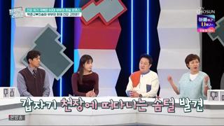 미리보기 이미지