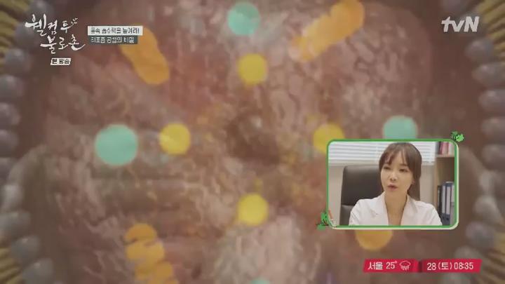 웰컴투 불로촌.E67.250628.450p.HANNA 비디오 썸네일 이미지