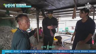 미리보기 이미지