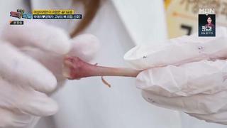 미리보기 이미지