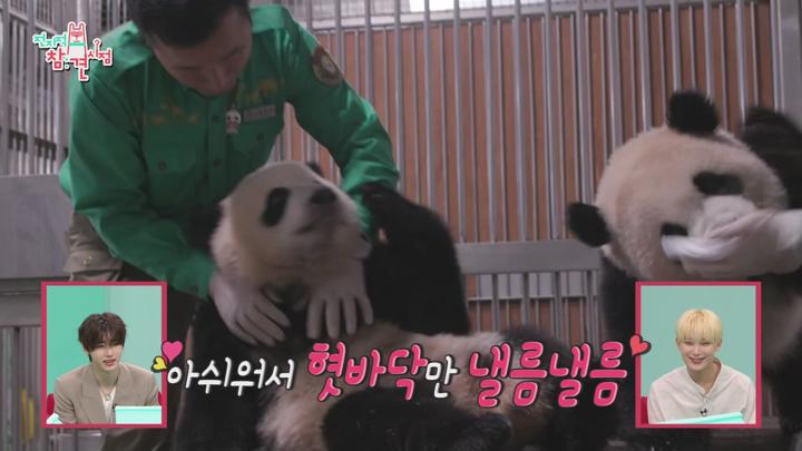 전지적 참견 시점 E306 20240706 1080P-KING 비디오 썸네일 이미지