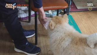 미리보기 이미지